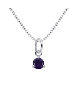 February Birthstone Silver Necklace SPE-5711